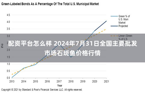 配资平台怎么样 2024年7月31日全国主要批发市场石斑鱼价格行情