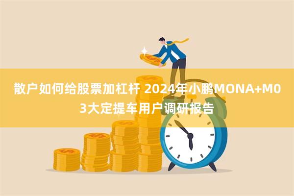 散户如何给股票加杠杆 2024年小鹏MONA+M03大定提车用户调研报告