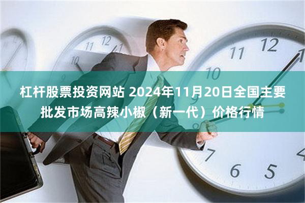 杠杆股票投资网站 2024年11月20日全国主要批发市场高辣小椒（新一代）价格行情