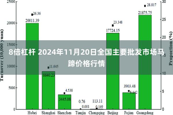 8倍杠杆 2024年11月20日全国主要批发市场马蹄价格行情