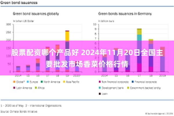 股票配资哪个产品好 2024年11月20日全国主要批发市场香菜价格行情