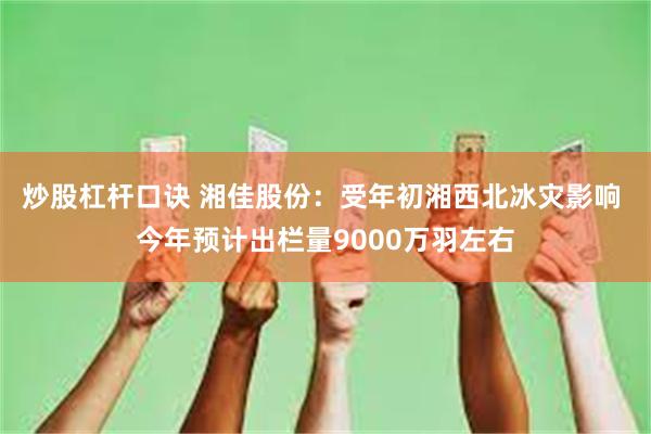 炒股杠杆口诀 湘佳股份：受年初湘西北冰灾影响 今年预计出栏量9000万羽左右