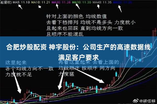 合肥炒股配资 神宇股份：公司生产的高速数据线满足客户要求