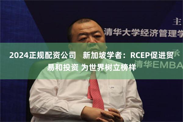 2024正规配资公司   新加坡学者：RCEP促进贸易和投资 为世界树立榜样