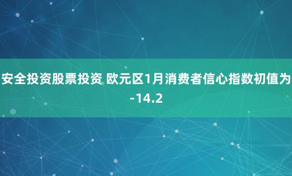 安全投资股票投资 欧元区1月消费者信心指数初值为-14.2