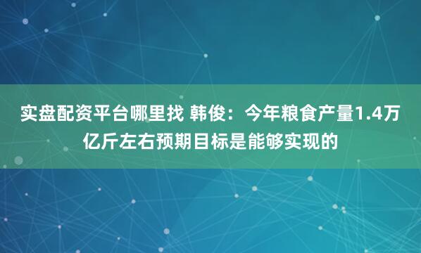 实盘配资平台哪里找 韩俊：今年粮食产量1.4万亿斤左右预期目标是能够实现的