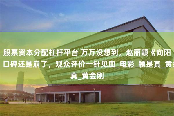 股票资本分配杠杆平台 万万没想到，赵丽颖《向阳花》口碑还是崩了，观众评价一针见血_电影_颖是真_黄金刚