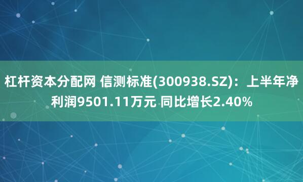 杠杆资本分配网 信测标准(300938.SZ)：上半年净利润9501.11万元 同比增长2.40%