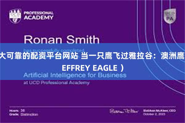 十大可靠的配资平台网站 当一只鹰飞过雅拉谷：澳洲鹰（JEFFREY EAGLE ）